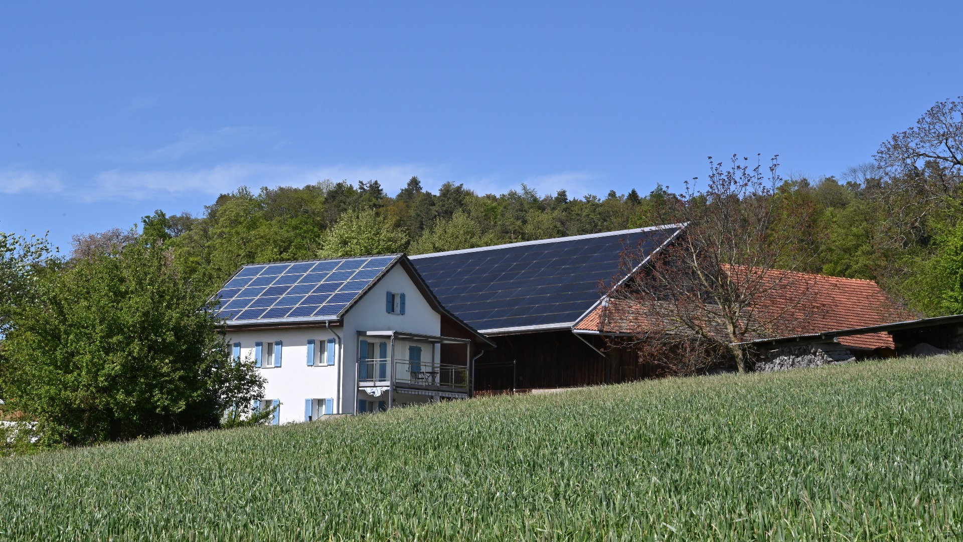 Auf dem Dach eines landwirtschaftlichen Gebäudes und eines Einfamilienhauses in einem Schweizer Dorf installierte Photovoltaik- bzw. Solarmodule. Um das Haus herum befinden sich Bäume und Sträucher.